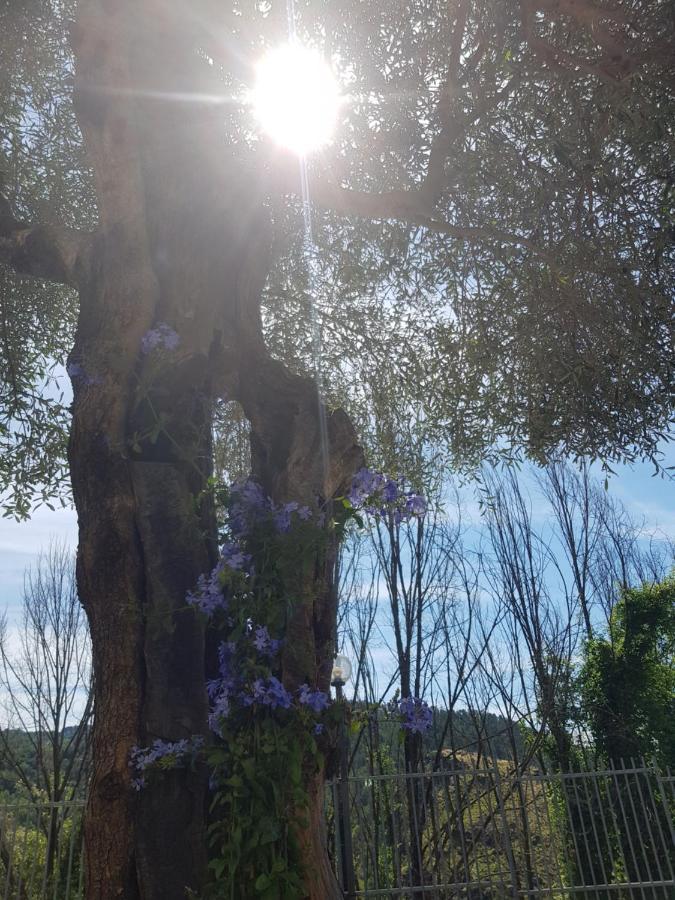 Casa Luigina Villa Vezzola Eksteriør billede